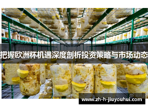 把握欧洲杯机遇深度剖析投资策略与市场动态 把握欧洲杯机遇深度剖析投资策略与市场动态